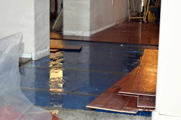 Professional Flood Cleanup technician working in Amherst, VA
